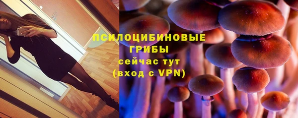 ALPHA PVP Баксан