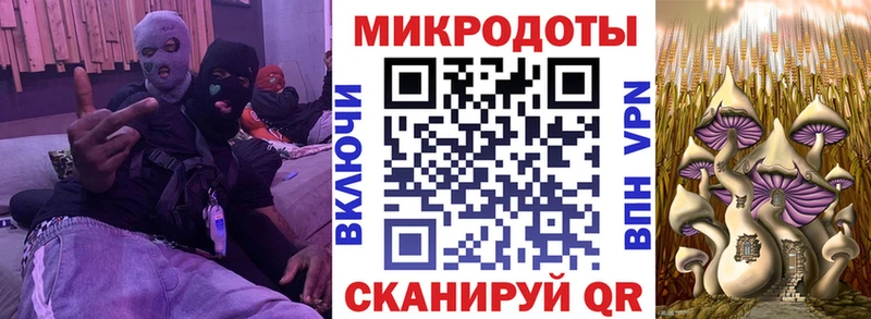 Псилоцибиновые грибы ЛСД  Купить закладки  Нестеров 
